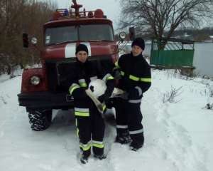 Рятувальники визволили лебедя з крижаного полону