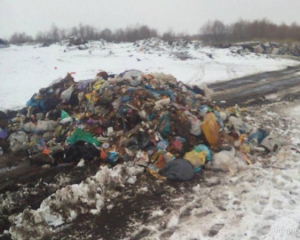 Львовский мусор задержали в Борисполе