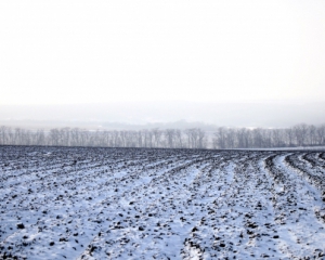 Пенсионер замерз до смерти посреди поля