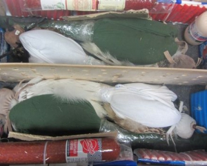 Пограничники нашли в чемодане мужчины 4 живых соколов