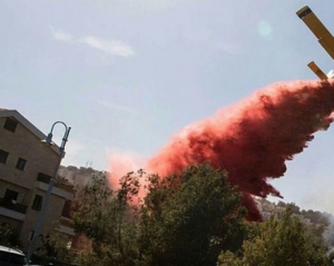 Пожежі в Ізраїлі ліквідовано