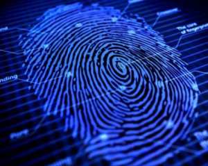 Стало відомо, чому деякі люди не залишають відбитки пальців