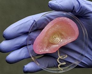 Людські органи друкуватимуть на 3D-принтерах