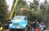 Появились фото новогодней елки для Киева