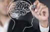 Три заняття, що сприяють росту інтелекту та пам'яті - дослідження вчених