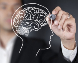Три заняття, що сприяють росту інтелекту та пам&#039;яті - дослідження вчених