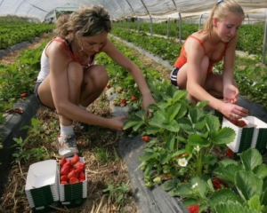 Українці оплатили пенсії 300 тисячам поляків