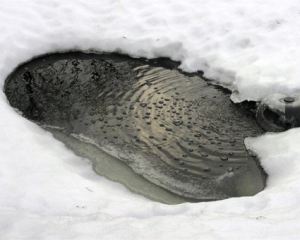 У струмку знайшли замерзеле тіло жінки
