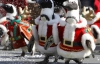 Пінгвіни пройшли на параді в новорічних костюмах