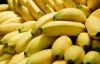 Експерт пояснив, чому подешевшали банани