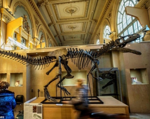 Скелет динозавра продали за миллион евро