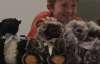 Мальчик пошил 400 медведей в подарок больным