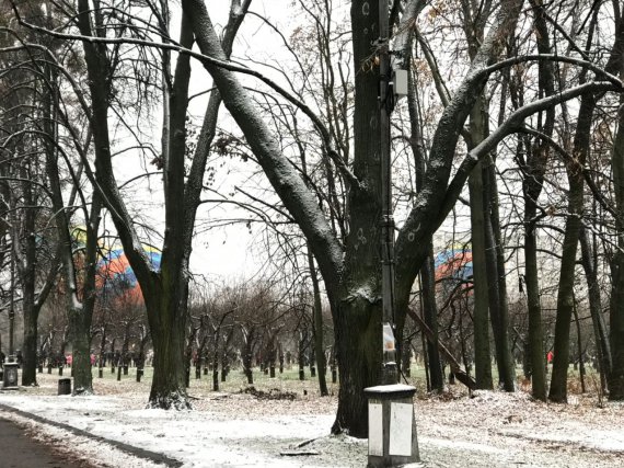 Разноцветные огромные шары видно даже в километре от места происшествия.