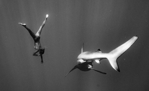 Модель Мариса Пепен снялась для каленаря с небезопасными акулами.