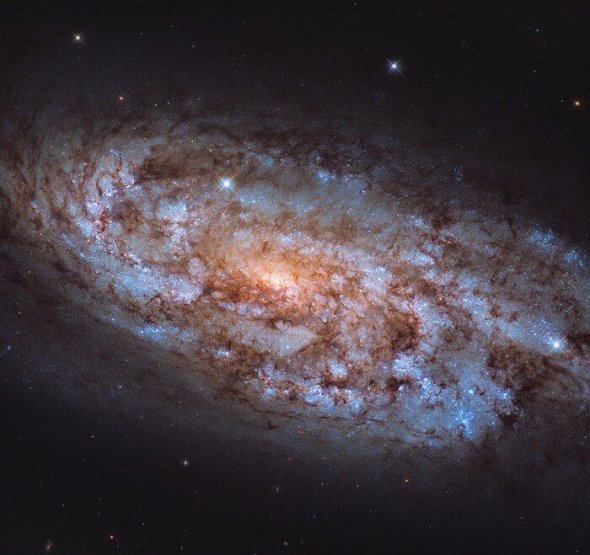 Галактика NGC 1792 расположена в созвездии Голубя