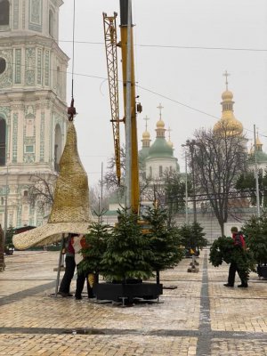 Дерево на Софийской площади сейчас стоит без верхушки. Фото: Telegram