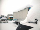 Японию накрыли сильные снегопады.