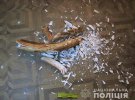 Обокрали музей в Ровенской области