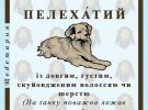 Створили список цікавих українських слів