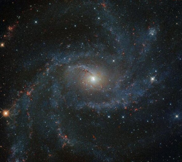 NGC 6946 розташована "обличчям" до нас, а не з боку "ребра". 