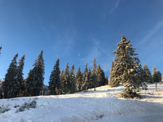 Гірськолижний курорт перетворився на зимову казку
