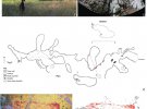 В Індонезії знайшли найдавніший малюнок тварини