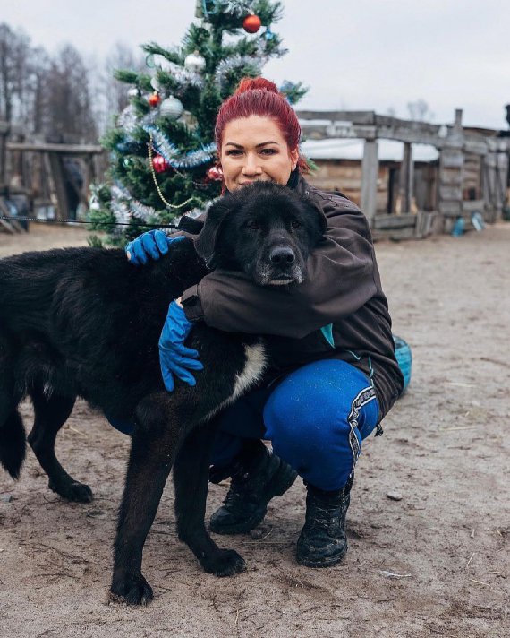 Волонтерка порадила, як допомогти тваринам під час морозу