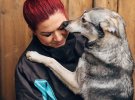 Волонтер посоветовала, как помочь животным во время мороза