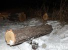 В Донецкой области полицейский застрелил 33-летнего черного лесоруба, когда тот убегал