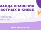 Контакты по которым можно вызвать команду спасения животных в Киеве