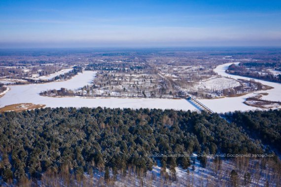 Показали неймовірні фото зимового заповідника в Чорнобилі