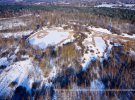 Показали неймовірні фото зимового заповідника в Чорнобилі