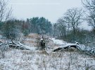 Показали невероятные фото зимнего заповедника в Чернобыле