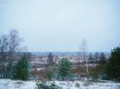 Показали невероятные фото зимнего заповедника в Чернобыле
