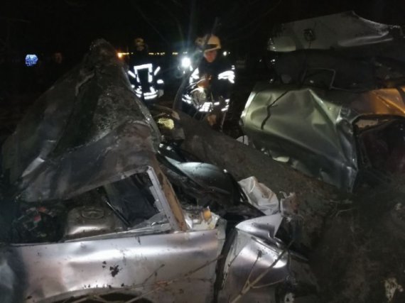 В Донецкой области водитель легковушки погиб после столкновения с деревом