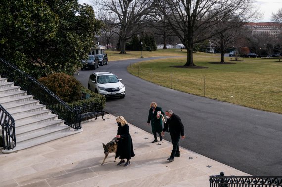 Переїзд собак Байденів знаменує собою повернення до давньої традиції президентів. Фото: Twitter