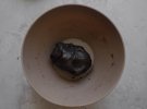 Карамельный чизкейк готовят с печеньем Орео