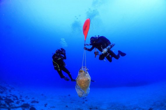 Со дна моря подняли старые амфоры