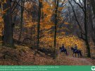 Фото конной прогулки в парке им. Максима Рыльского. Победило в спецноминации "Здоровье и природа Киева"