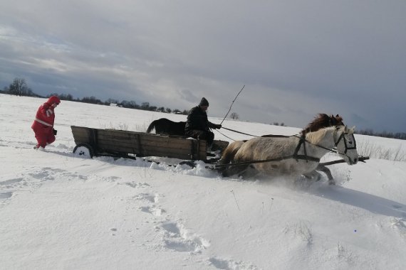 На Житомирщині 14-річну дівчину із села Зелениця  везли у лікарню на конях. «Швидка», яка їхала до пацієнтки, застрягла в снігових заметах. На допомогу медикам вирушили рятувальники, але й вони на спецавто не змогли проїхати