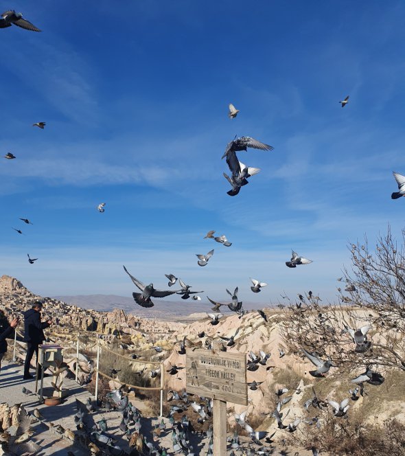 Долина голубів одна із найпопулярніших панорамних площадок. 