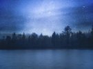 Найкраще світло для фотографування природи - вночі, каже Йонна Їнтон