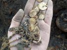 У столиці Білорусі відкопали золоті монети