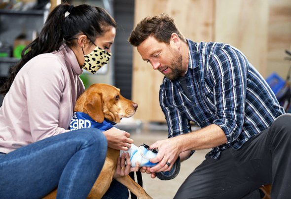 Деррік Кампана приміряє протез із колесом на передню лапу собаки