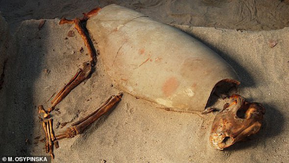 На кладовищі античного порту Береніка виявили нові знахідки