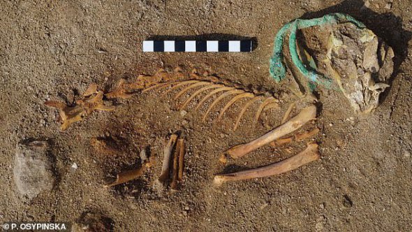 На кладбище античного порта Береника обнаружили новые находки