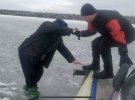 3 марта в Запорожской области со льда спасатели сняли трех рыбаков. Их заметили во время патрулирования Каховского водохранилища. Мужчины находились в 300 м от берега.