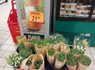 Букет тюльпанов в Польше стоит от 70 до 160 гривен. Самые дорогие розы. Букет из 21 цветка обойдется в 300 грн