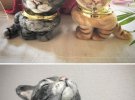 Свои произведения искусства художник выставляет в одном из японских кошачьих кафе.