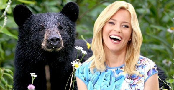 Американська актриса Елізабет Бенкс зніме фільм про ведмедя, який отримав прізвисько Пабло Ескобар. 1985-го знайшов у лісі 40 пакунків з кокаїном. Їх загальна вартість -  млн. Ведмідь все з’їв і помер.